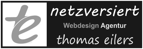 Netzversiert Logo